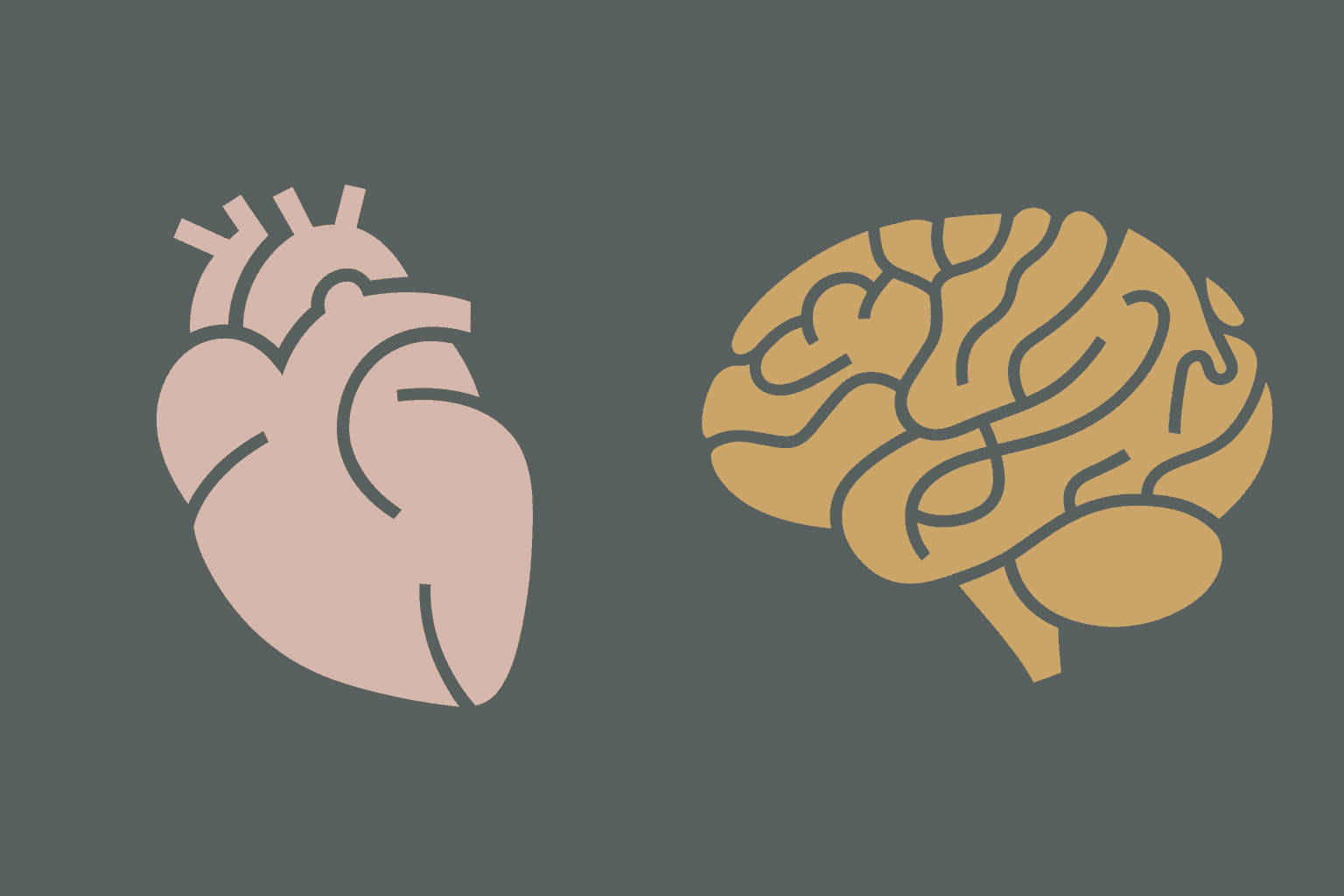睡眠中脳波活動と心拍変動特性の長時間相互相関解析